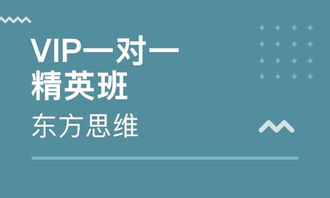 沈陽云集企業財務管理培訓輔導班全面解析 排名與價值